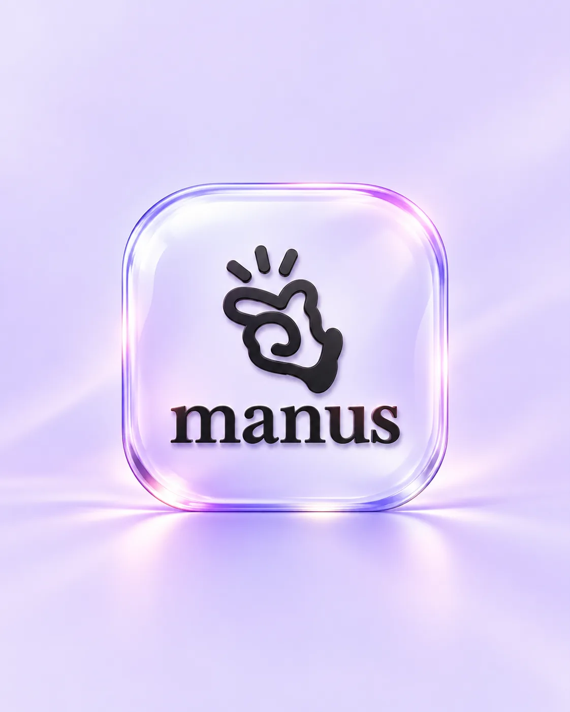Manus Pro 1 Year